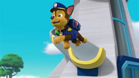 paw patrol imdb|More.